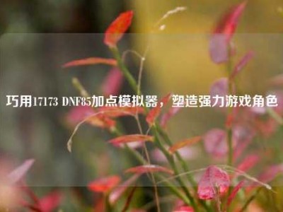 巧用17173 DNF85加点模拟器，塑造强力游戏角色