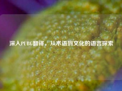 深入PUBG翻译，从术语到文化的语言探索