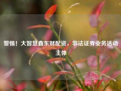 警惕！大智慧鑫东财配资，非法证券业务活动主体
