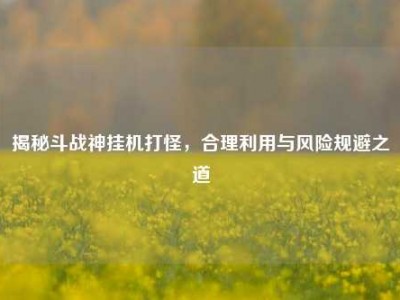 揭秘斗战神挂机打怪，合理利用与风险规避之道
