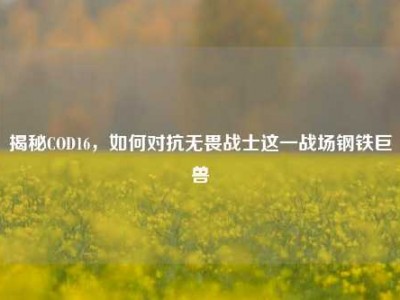 揭秘COD16，如何对抗无畏战士这一战场钢铁巨兽