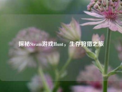 探秘Steam游戏Hunt，生存狩猎之旅