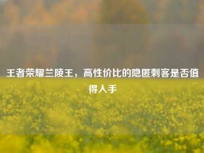 王者荣耀兰陵王，高性价比的隐匿刺客是否值得入手