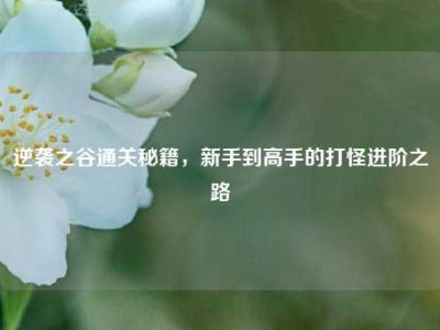 逆袭之谷通关秘籍，新手到高手的打怪进阶之路