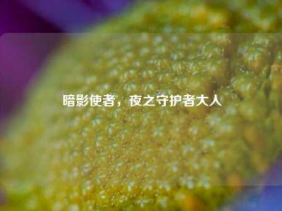 暗影使者，夜之守护者大人