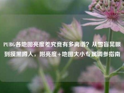 PUBG各地图亮度差究竟有多离谱？从雪盲晃眼到摸黑蹲人，附亮度+地图大小专属调参指南