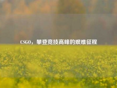 CSGO，攀登竞技高峰的艰难征程