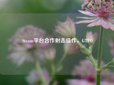 Steam平台合作射击佳作，GTFO
