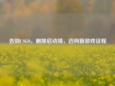 告别CSGO，删除启动项，迈向新游戏征程