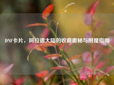 DNF卡片，阿拉德大陆的收藏奥秘与附魔指南