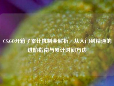 CS:GO开箱子累计机制全解析，从入门到精通的进阶指南与累计时间方法