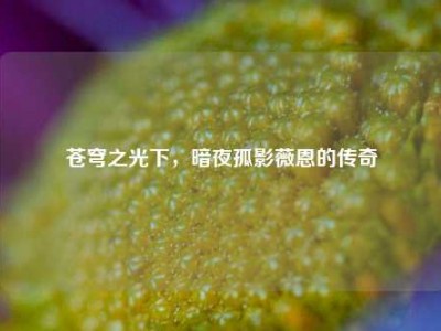 苍穹之光下，暗夜孤影薇恩的传奇
