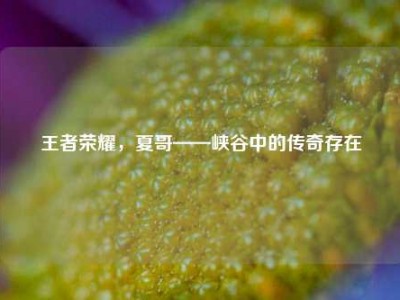王者荣耀，夏哥——峡谷中的传奇存在