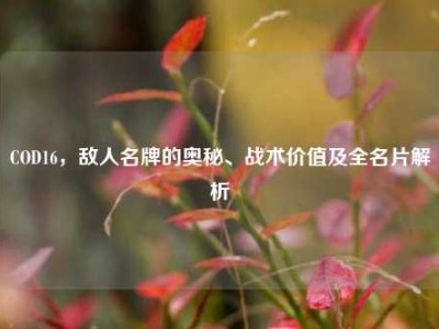 COD16，敌人名牌的奥秘、战术价值及全名片解析