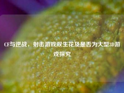 CF与逆战，射击游戏双生花及是否为大型3D游戏探究