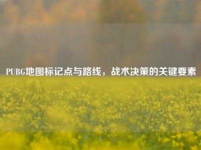 PUBG地图标记点与路线，战术决策的关键要素