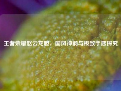 王者荣耀赵云龙胆，国风神韵与极致手感探究