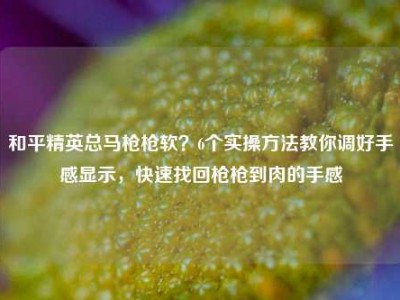 和平精英总马枪枪软？6个实操方法教你调好手感显示，快速找回枪枪到肉的手感