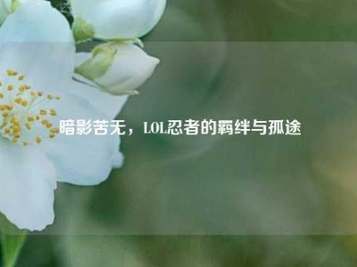 暗影苦无，LOL忍者的羁绊与孤途
