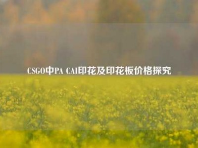 CSGO中PA CAI印花及印花板价格探究