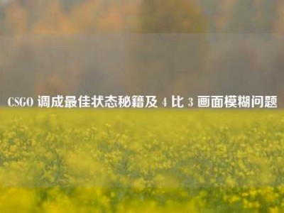 CSGO 调成最佳状态秘籍及 4 比 3 画面模糊问题