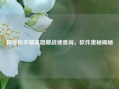探寻和平精英隐藏战绩查询，软件奥秘揭秘