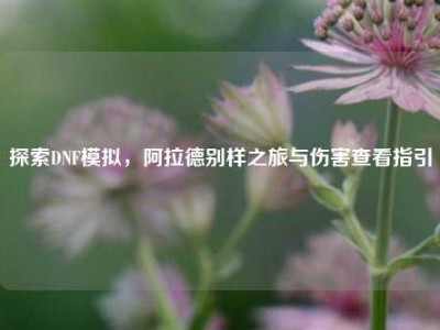 探索DNF模拟，阿拉德别样之旅与伤害查看指引