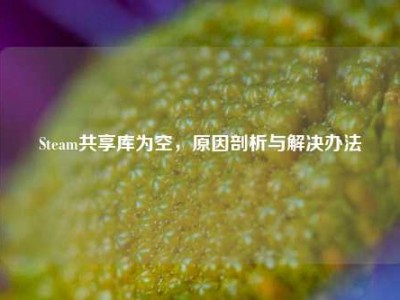 Steam共享库为空，原因剖析与解决办法