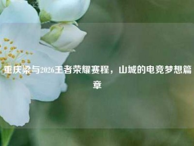 重庆梁与2026王者荣耀赛程，山城的电竞梦想篇章