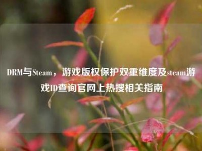 DRM与Steam，游戏版权保护双重维度及steam游戏ID查询官网上热搜相关指南