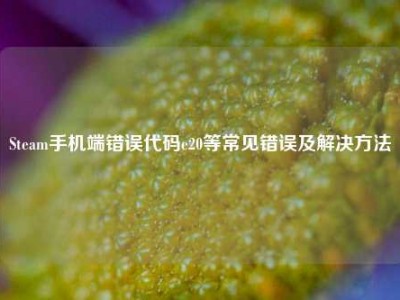 Steam手机端错误代码e20等常见错误及解决方法