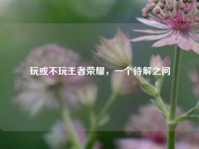 玩或不玩王者荣耀，一个待解之问