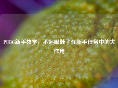 PUBG新手教学，不起眼鞋子在新手任务中的大作用