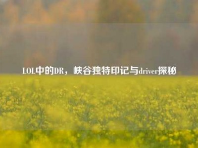 LOL中的DR，峡谷独特印记与driver探秘