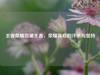 王者荣耀百星王者，荣耀背后的汗水与坚持