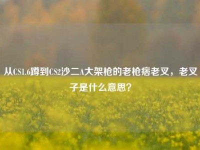 从CS1.6蹲到CS2沙二A大架枪的老枪痞老叉，老叉子是什么意思？