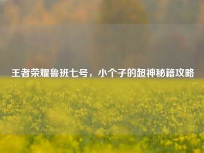 王者荣耀鲁班七号，小个子的超神秘籍攻略