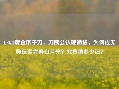 CSGO黄金爪子刀，刀圈公认硬通货，为何成无数玩家青春白月光？究竟值多少钱？