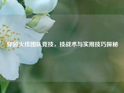 穿越火线团队竞技，技战术与实用技巧探秘