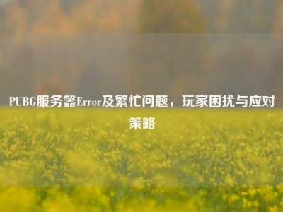 PUBG服务器Error及繁忙问题，玩家困扰与应对策略