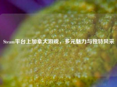 Steam平台上加拿大游戏，多元魅力与独特风采