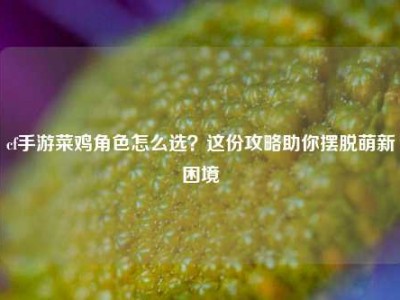 cf手游菜鸡角色怎么选？这份攻略助你摆脱萌新困境