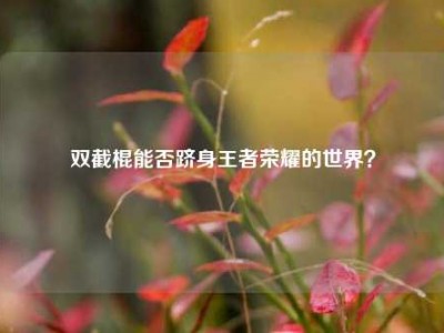 双截棍能否跻身王者荣耀的世界？