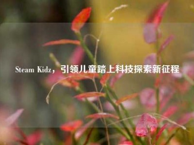 Steam Kidz，引领儿童踏上科技探索新征程