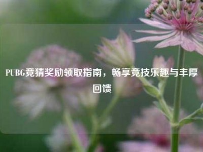 PUBG竞猜奖励领取指南，畅享竞技乐趣与丰厚回馈