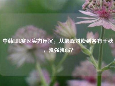 中韩LOL赛区实力浮沉，从巅峰对谈到各有千秋，孰强孰弱？
