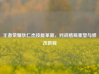 王者荣耀狄仁杰技能革新，对战格局重塑与修改教程