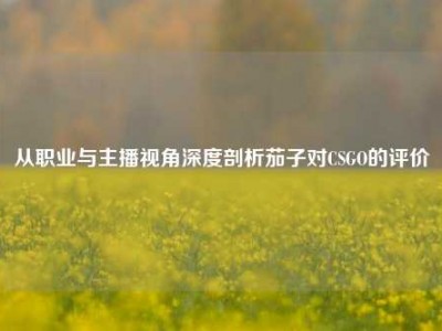 从职业与主播视角深度剖析茄子对CSGO的评价