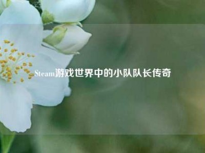 Steam游戏世界中的小队队长传奇