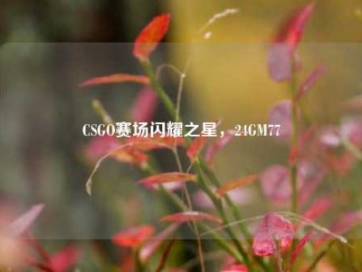 CSGO赛场闪耀之星，24GM77